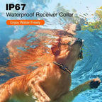 Collier d’Éducation 1000M IP67 – Duo Télécommande & 2 Chiens - Socosytech