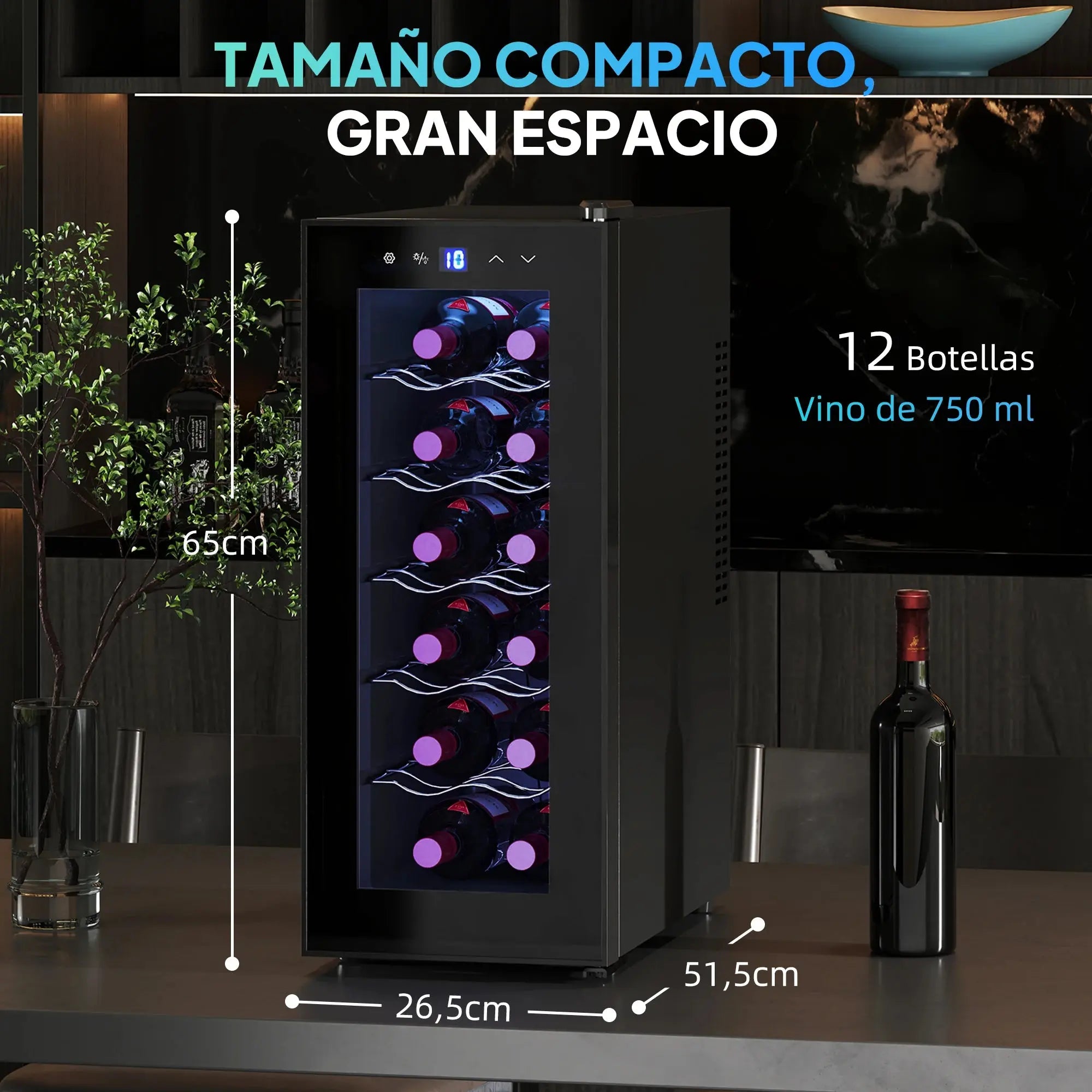 Cave à Vin 12 Bouteilles – Refroidissement Thermoélectrique 8–18 °C – HOMCOM - Socosytech