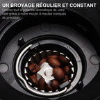 Broyeur à Café Électrique BioloMix – Meules Coniques 40mm, 30 Réglages, 300W (BioloMix) - Socosytech