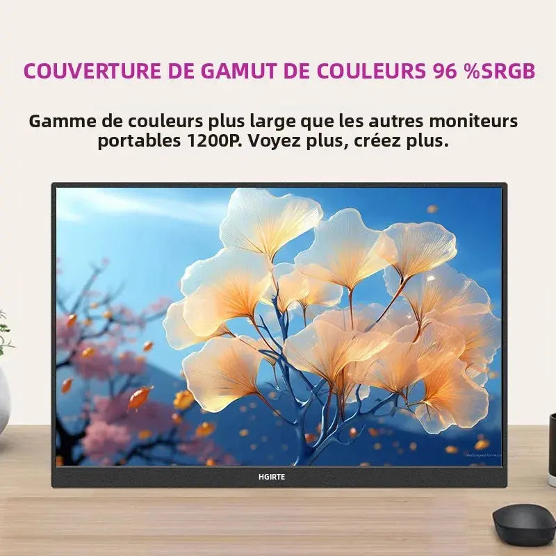 Moniteur Portable 16” Tactile IPS 1200P – Second Écran PC & Gaming – HGFRTEE Socosytech