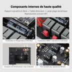 Amplificateur AIYIMA A80 TPA3255 – DAC Bluetooth 5.1 Hi-Res 2×300W Socosytech